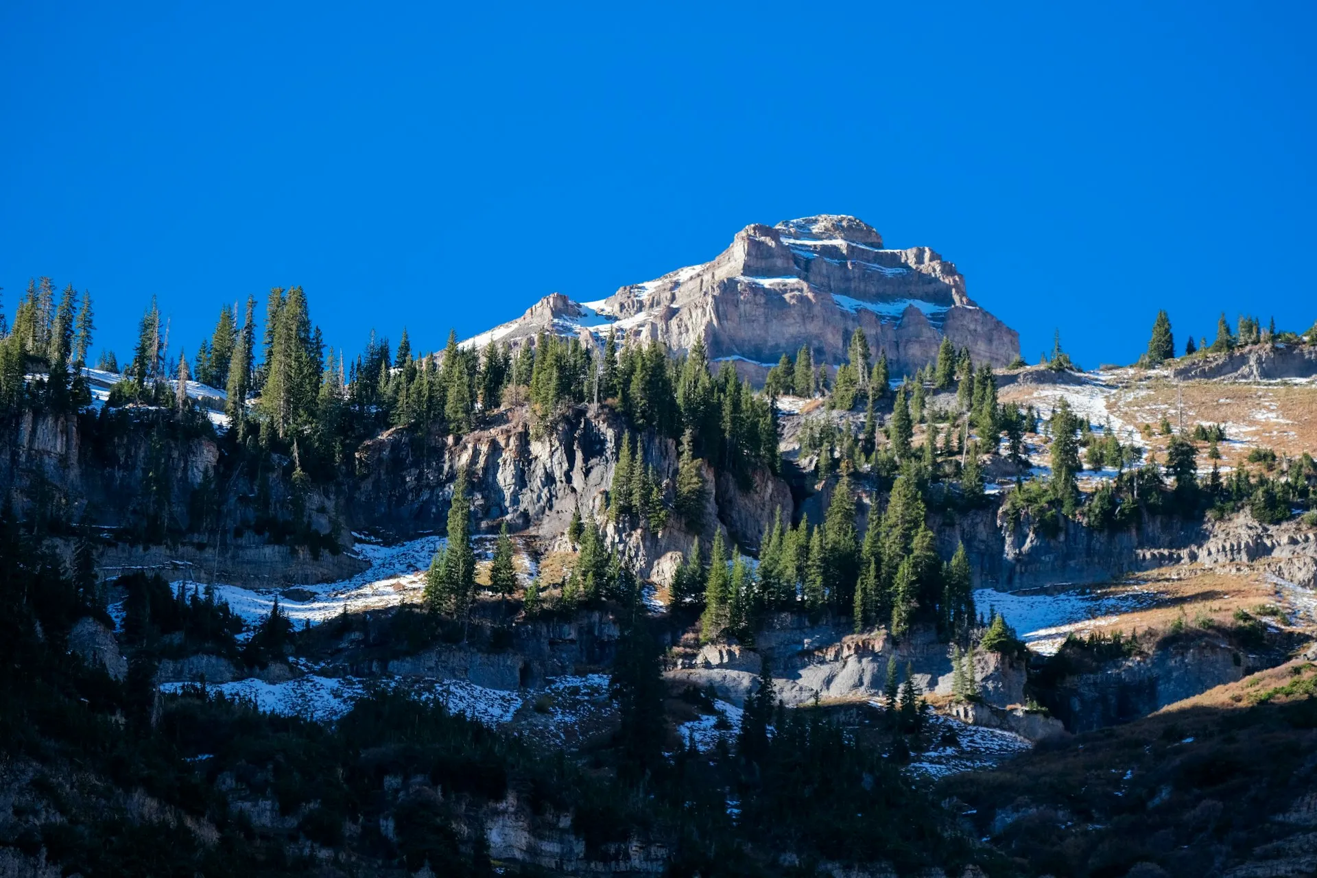 Wasatch Front Real Estate Technology: What Agents Actually Need